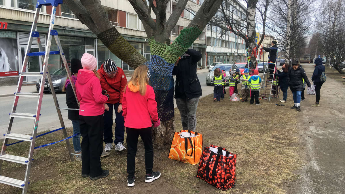 Koululaiset ja esikoululaiset koristelevat puistokadun puita Kemissä.
