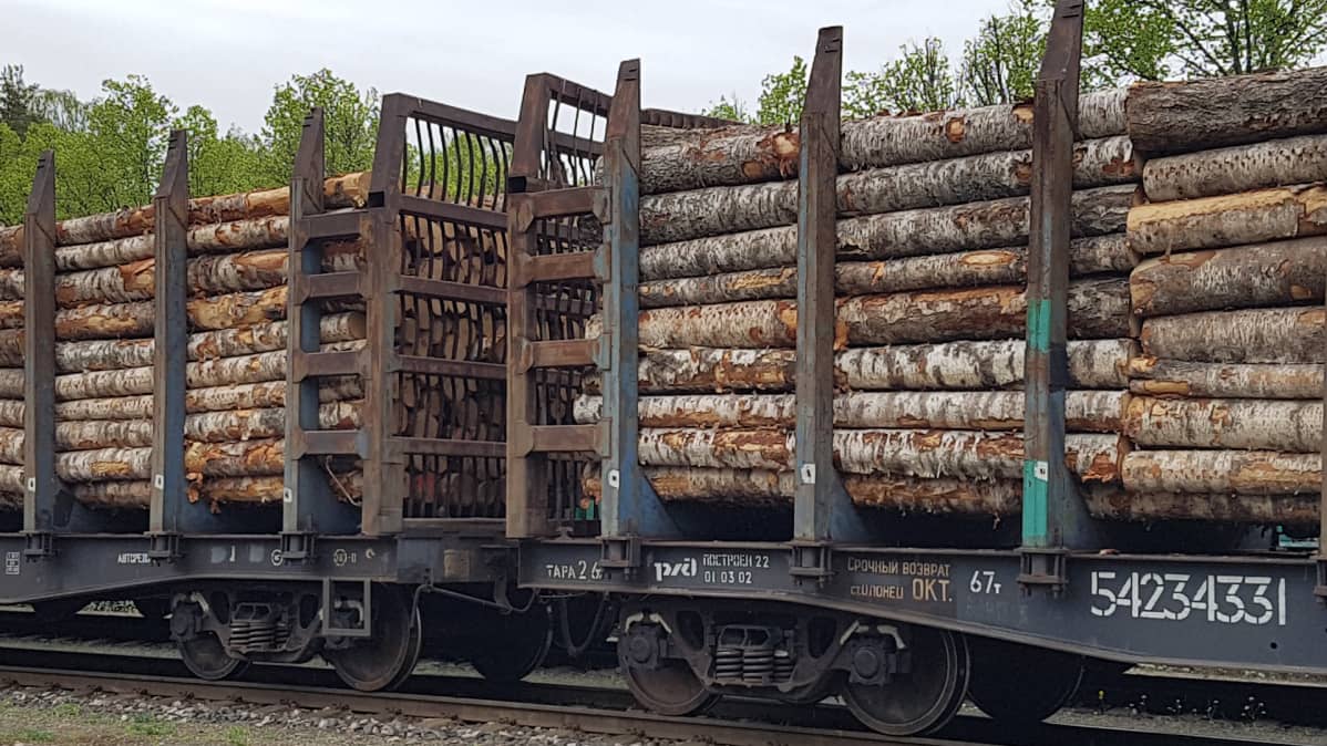 Raakapuuta junan kyydissä Vuoksenvarren ratapihalla