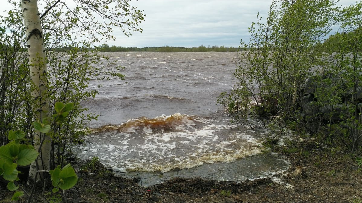Tuuli painaa aaltoja rantaan.