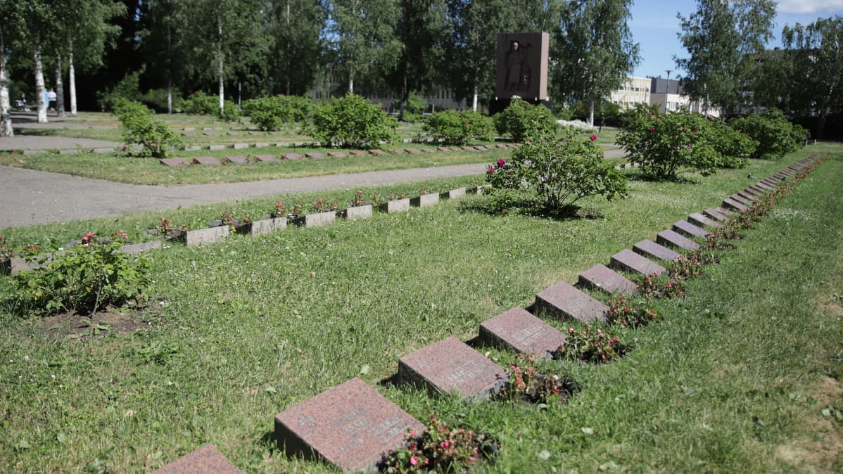 Raekuuron vaurioittamia kukkaistutuksia