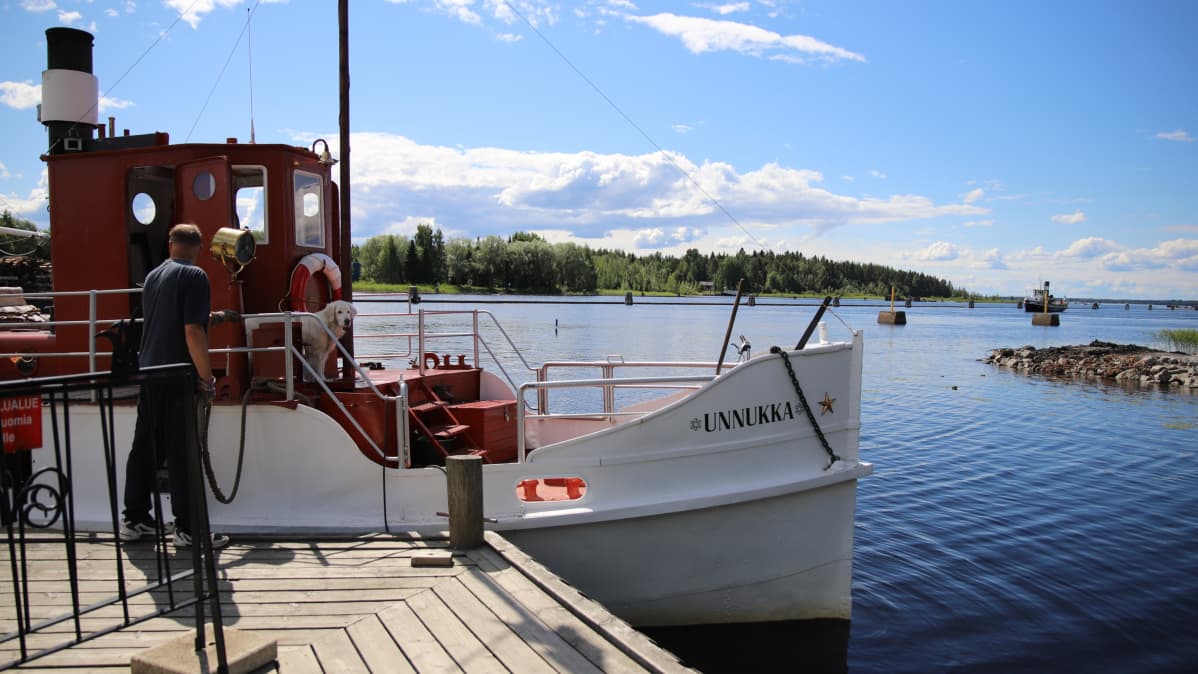 Mies kiinnittää höyrylaiva Unnukkaa satamaan Joensuun jokiasemalla. Laivan kannella koira.