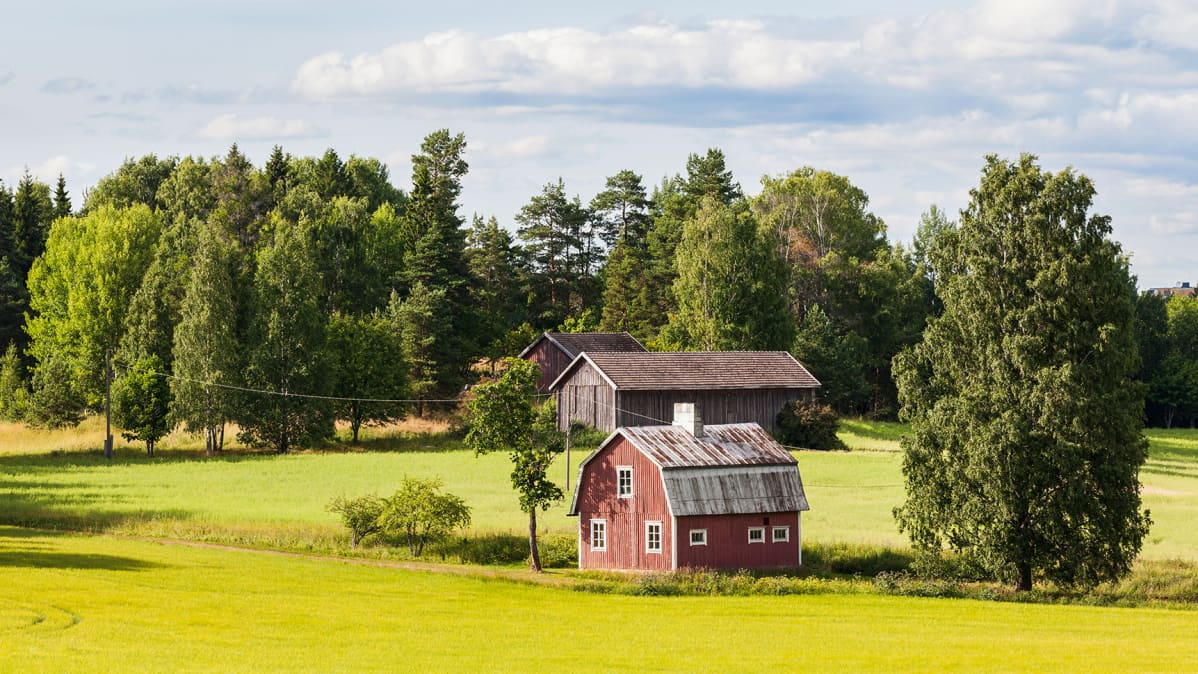 Maalaismaisema jossa pari latoa ja vanha talo.