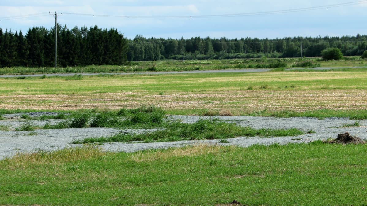 Pelto Suviseurojen jäljiltä.