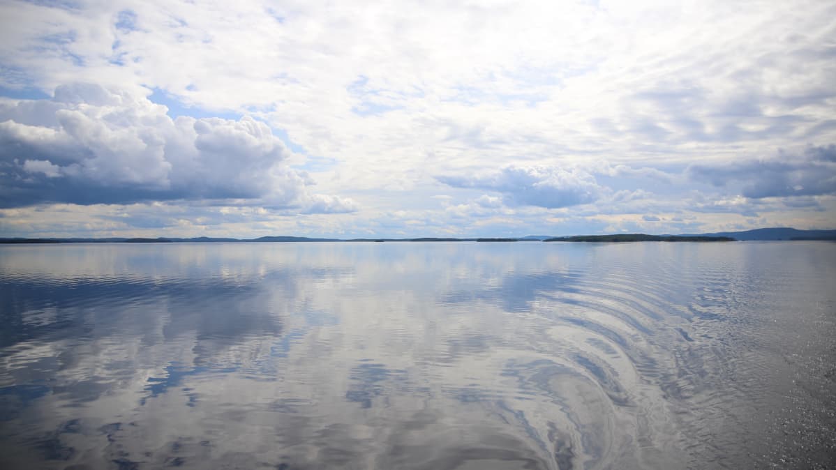 Pielinen heinäkuussa 2019.