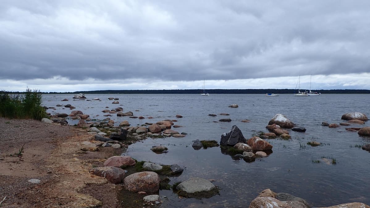 Lavansaaren etelärantaa heinäkuussa 2019.