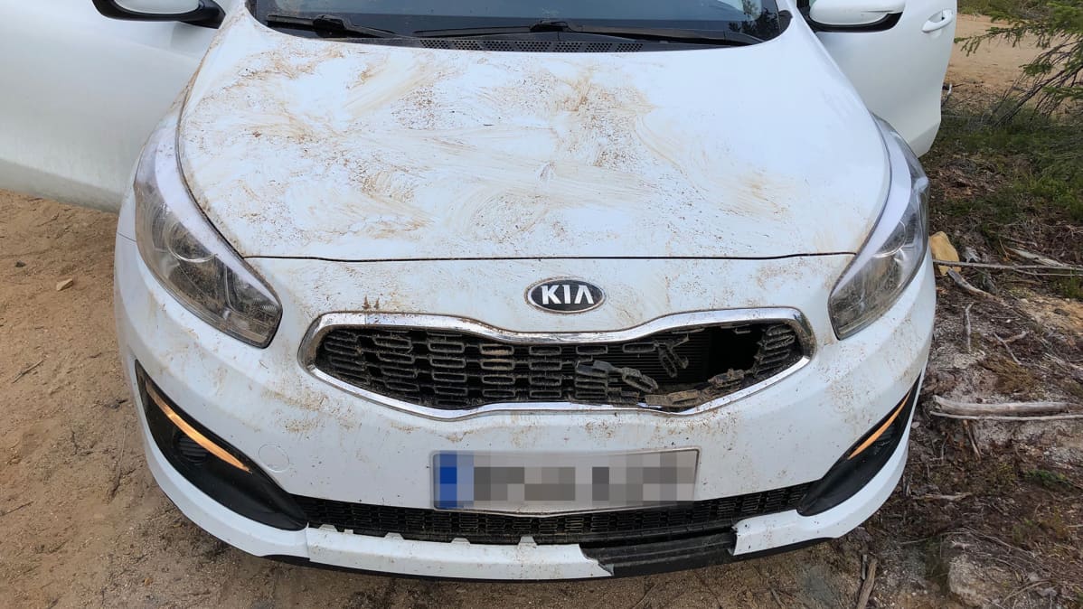 Karhun jäljet auton konepellillä.