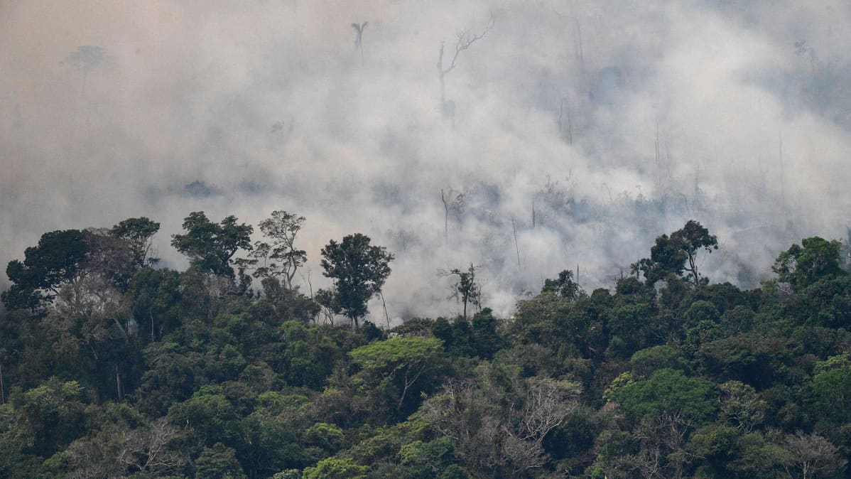 Metsää paloi Porto Velhossa Rondoniassa Brasiliassa 23. elokuuta.