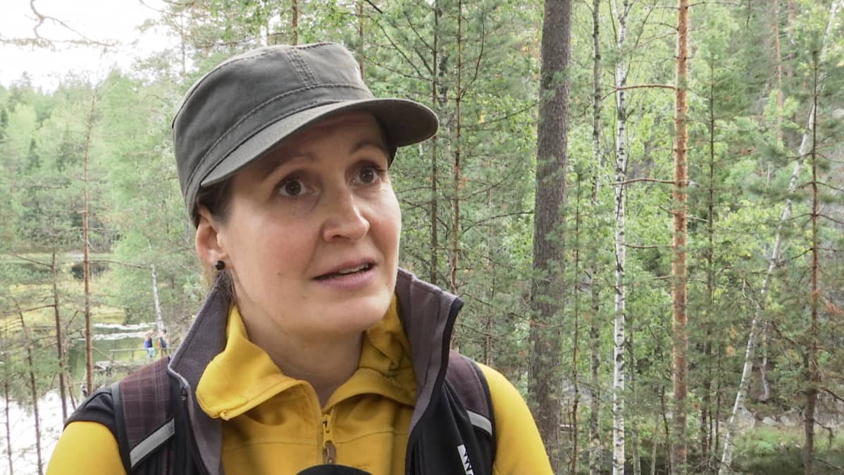 Metsähallituksen erikoissuunnittelija Liisa Neuvonen