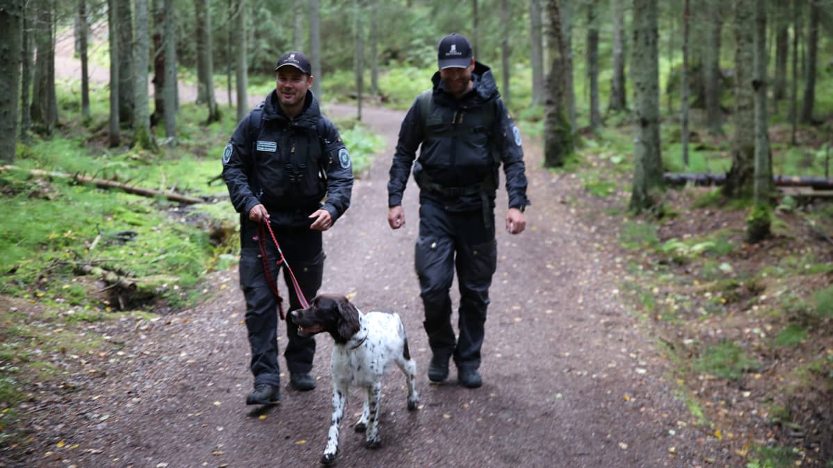 Entiset poliisit, Tommi Suonpää ja Heikki Taipale, partioivat tänään Metsähallituksen mailla. "Yksitoista miestä ja yksitoista miljoonaa hehtaaria".
