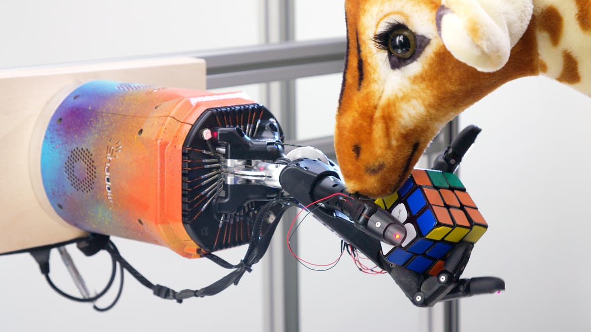 Rubikin kuutiota ratkaisevaa robottikättä häirittiin kirahvilelulla.