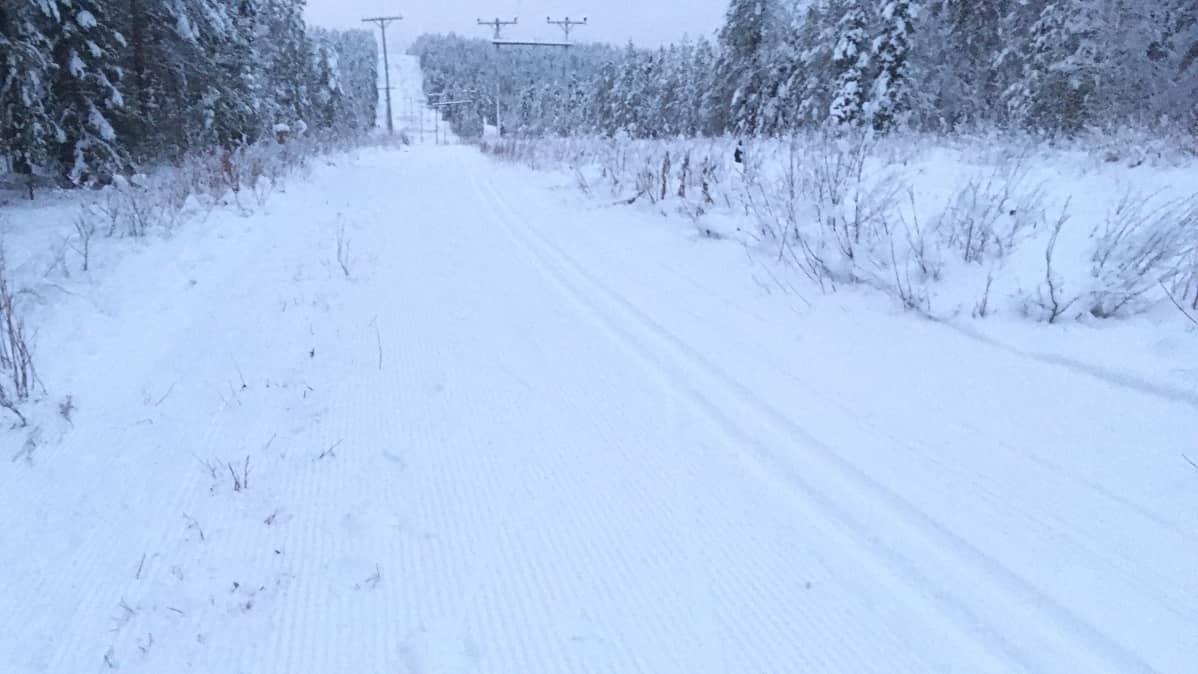 Juuri latukoneella ajettu hiihtolatu Rovaniemen Vennivaarassa 15. marraskuuta 2019.