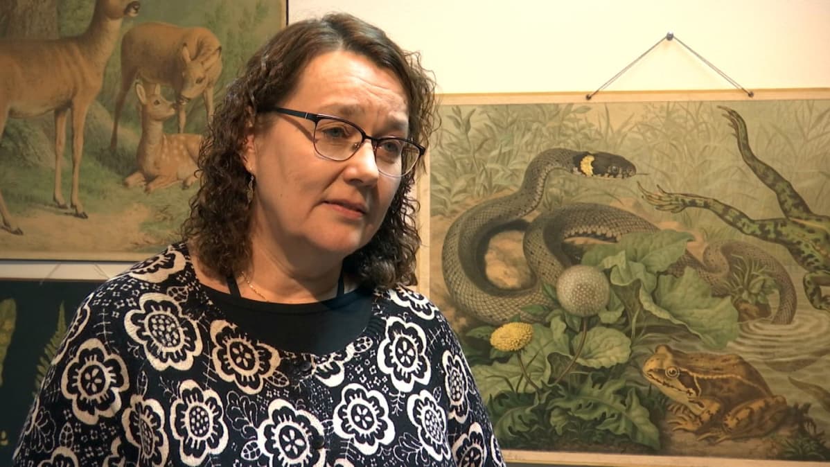 Tutkija Minna Vihla Vaasan kaupungin museoista tietää, miten koulutauluja on Suomen kouluissa käytetty osana opetusta.