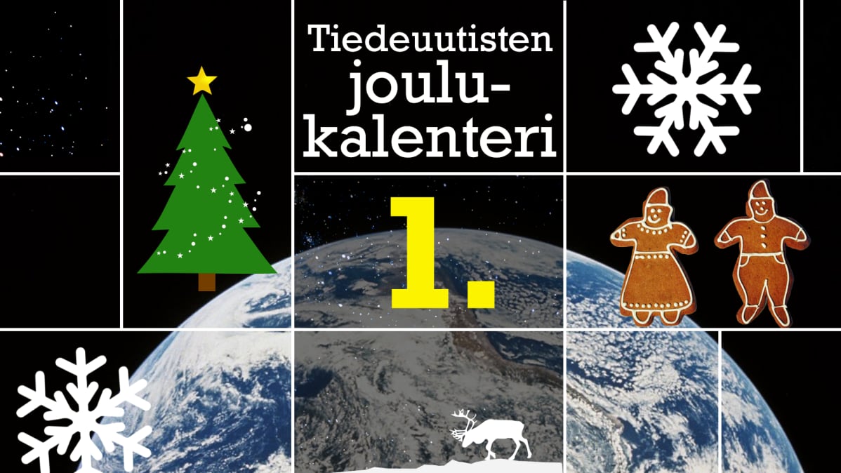 joulukalenteri kuvitus