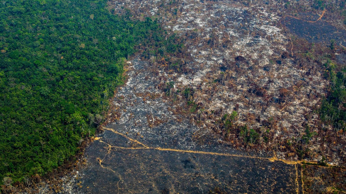 Ilmakuvaa raivatuista metsistä Amazonin alueella sijaitsevalta Nascentes da Serra do Cachimbo Biological Reserve -alueelta Paran osavaltiossa Brasiliassa 28. elokuuta.