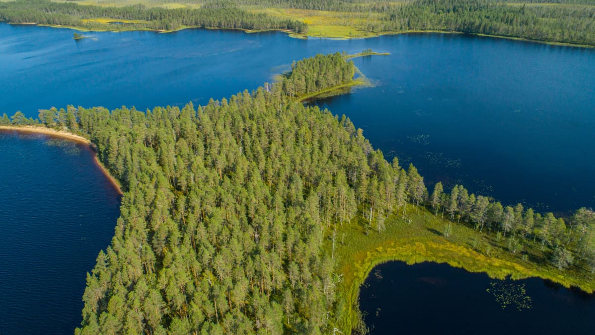 Tiilikkajärven kansallispuistoa kuvattuna ilmasta
