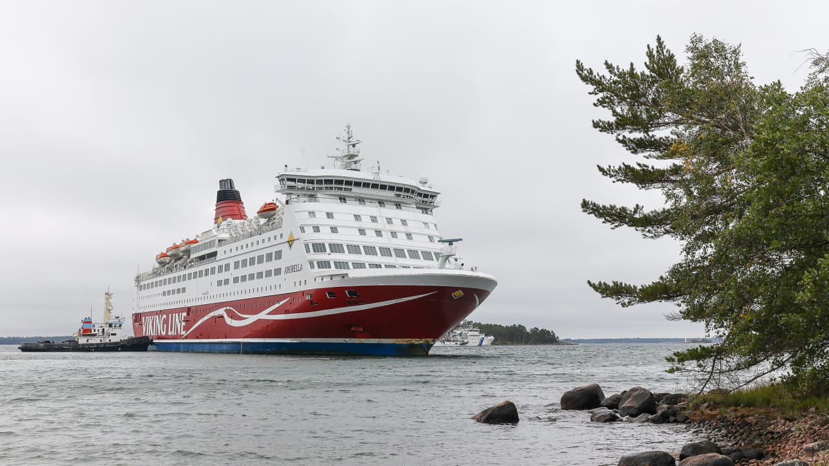 Amorella Järsön saaren rannassa Ahvenanmaan saaristossa.