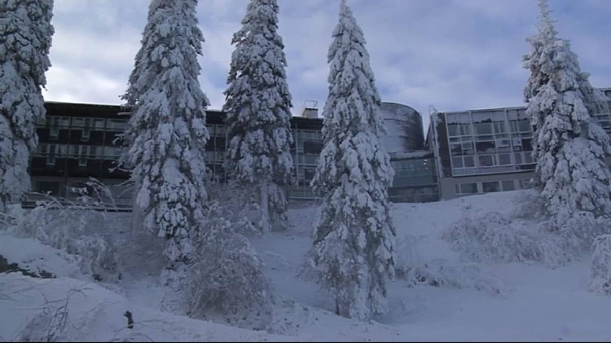 Hotelli Koli.