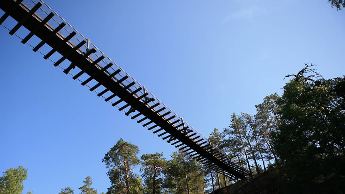 Lapinsalmen riippusilta altapäin.