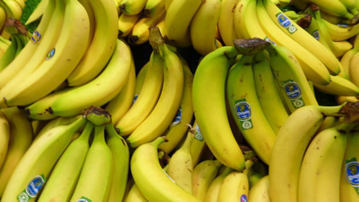 Banaaniterttuja.