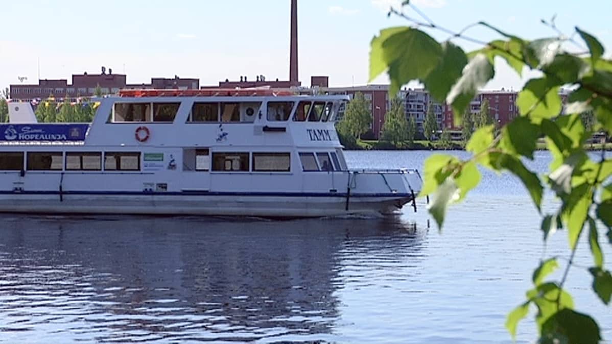 Tammerkoski-laiva Pyhäjärvellä ja koivun oksa.