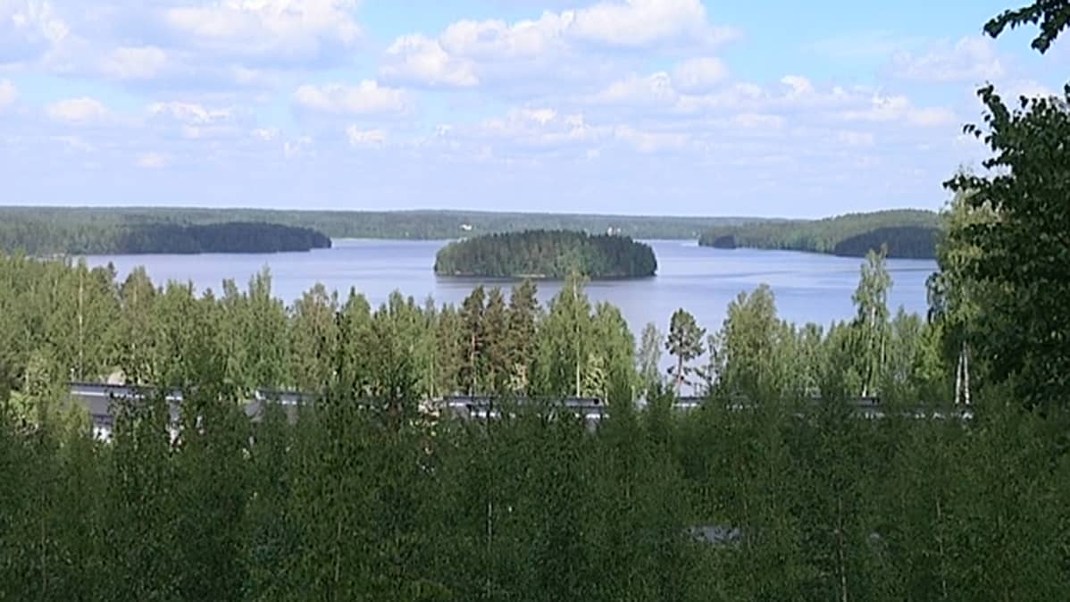 Metsää, järvi ja saari.