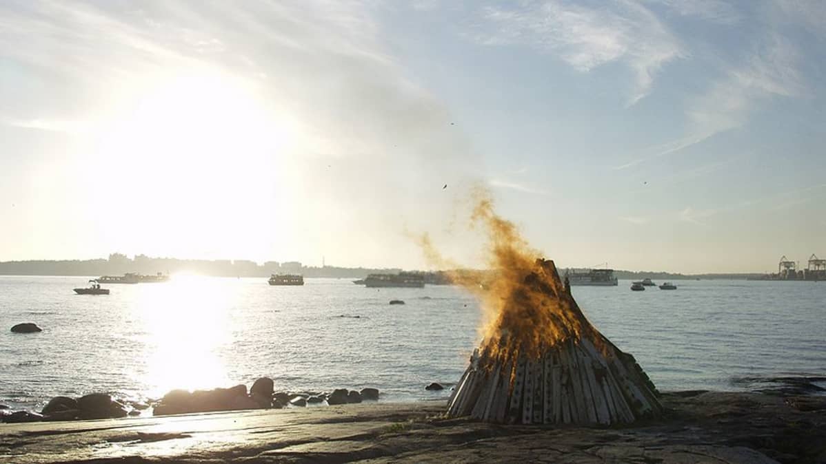 Kokko meren rannalla.