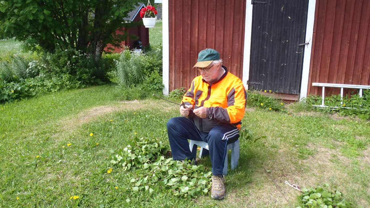 Seppo Härkönen valmistelee vastan vitsasta.