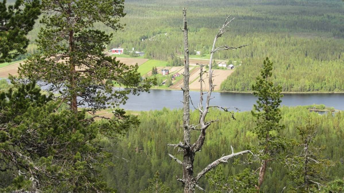 Maisema Aavasaksalta, Ylitorniolta.