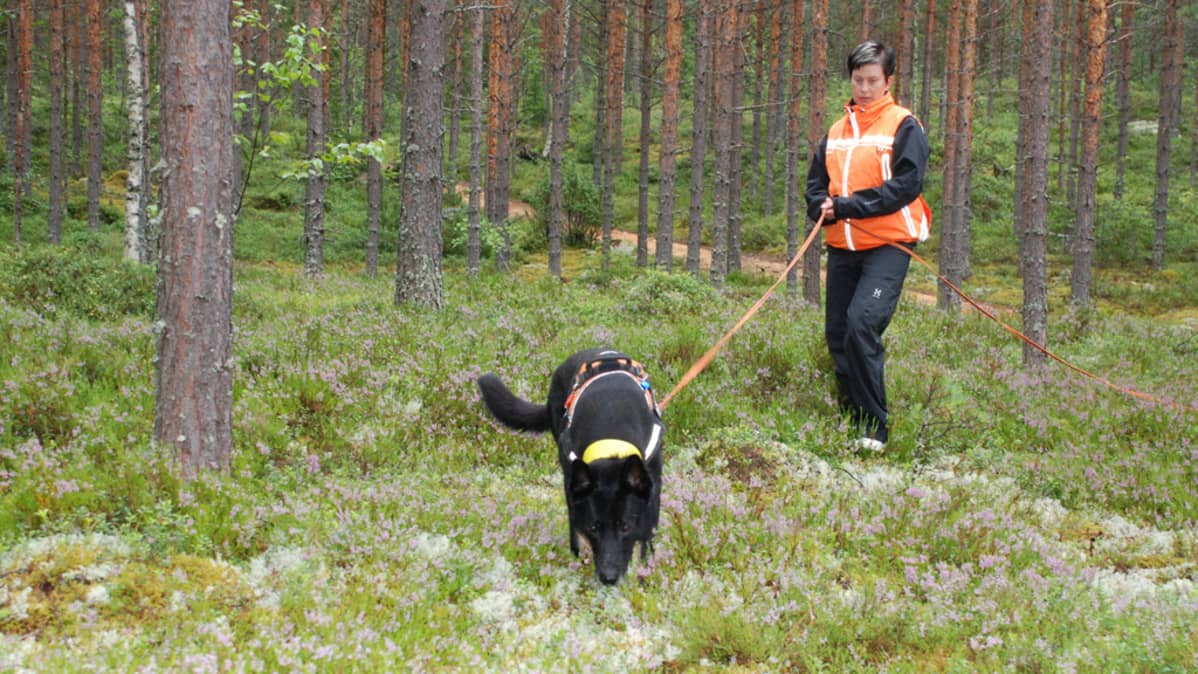 Kepu ja Maarit Rokkamäki työssään.