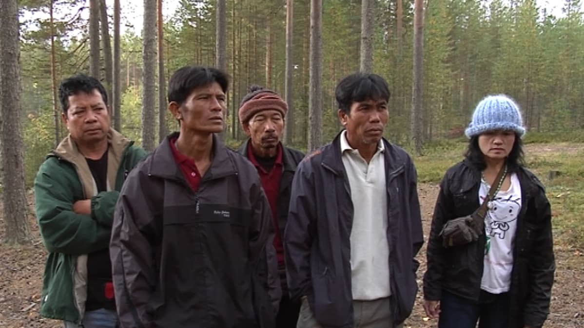 Thaimaalaiset marjanpoimijat