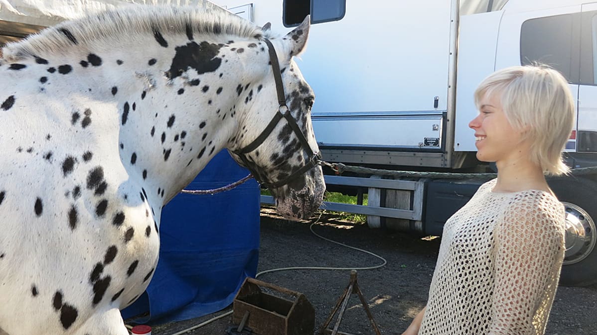 Sirkus Finlandia Rovaniemellä kesäkuussa 2014