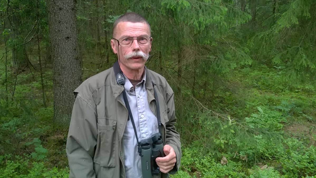 Petolintuasiantuntija Seppo Pekkala