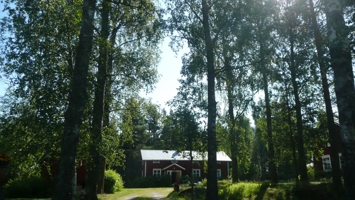 Punainen tupa kessäpihassa