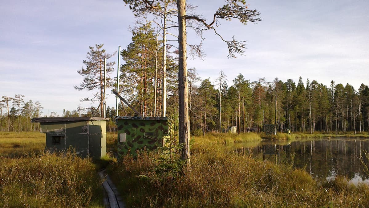 Kuvauskoju lammen rannalla