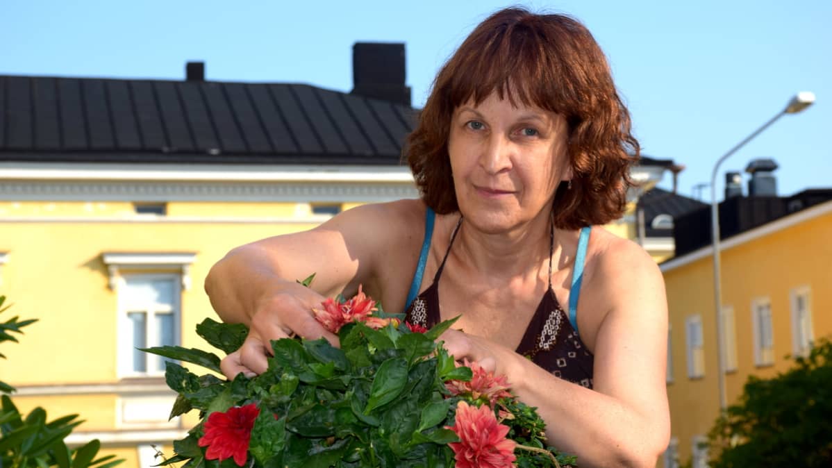 Arja Pehkonen nyppii ruukusta kuivia lehtiä pois