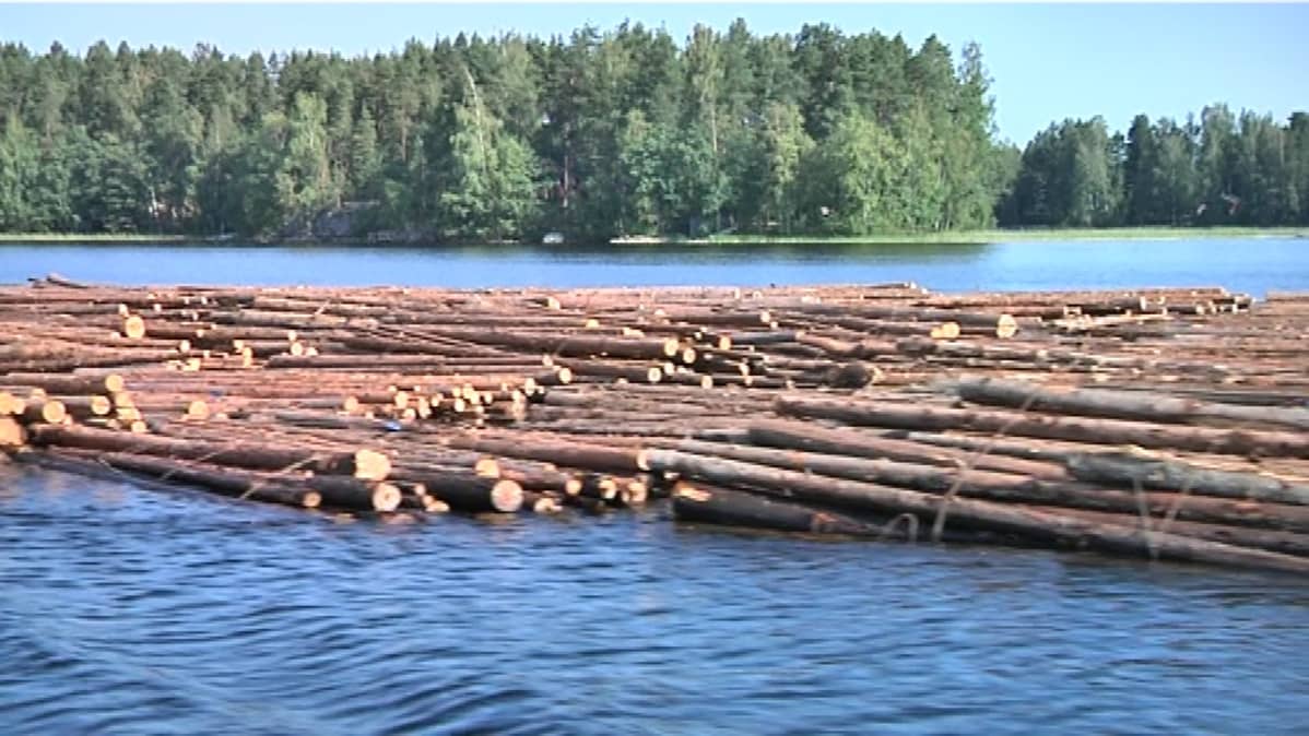 Tukkilautta