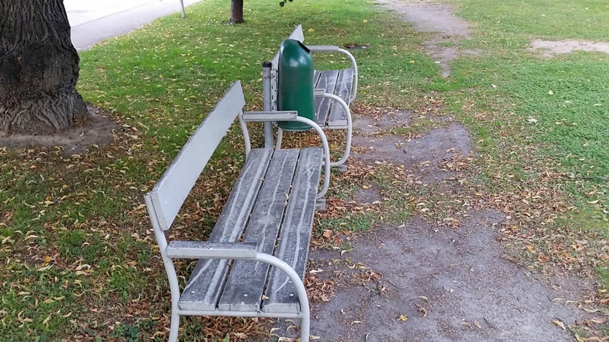 Kirvan mesikasteessa elävän nokihärmän sotkemat puistonpenkit.