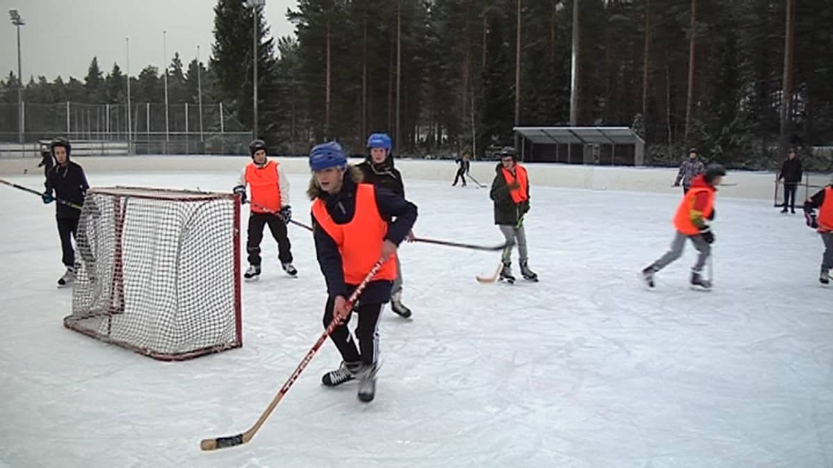 Jääkiekon pelausta Seinäjoen urheilukeskuksessa.