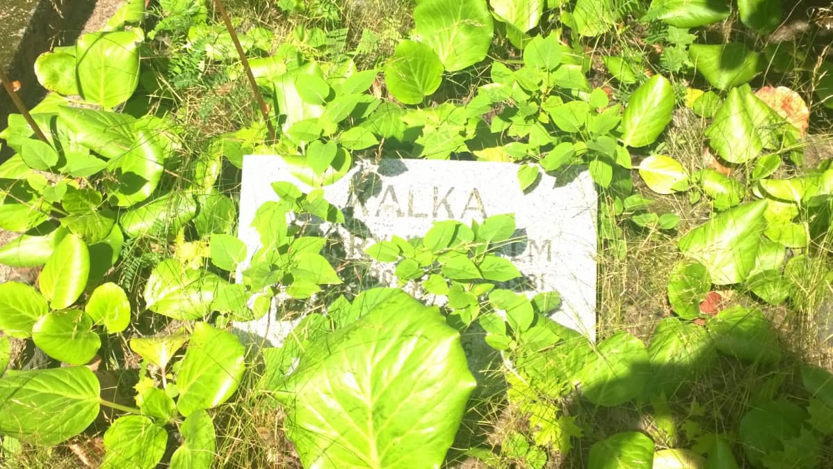 hautakivi