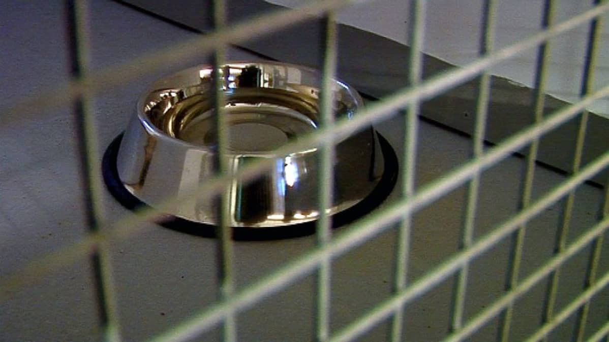 Karajan Löytöeläinkoti rakennettiin navettaan.
