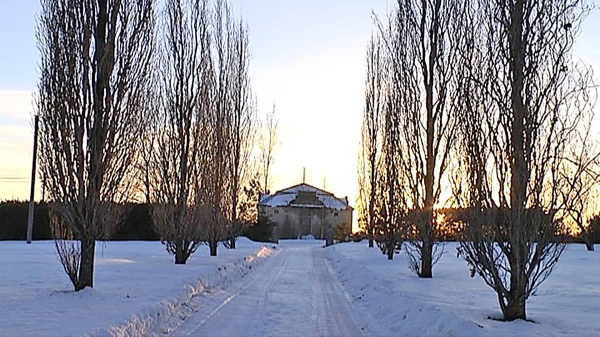 Sotavallan kartanon kartiotammet