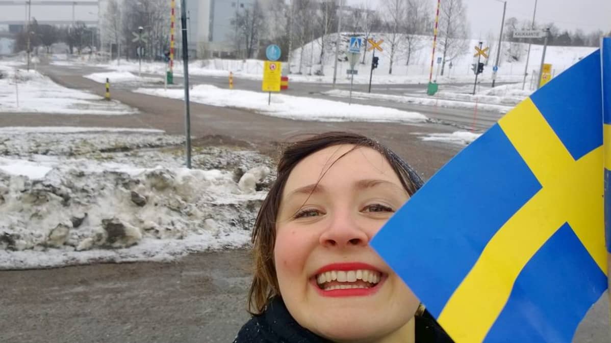 Kaukaan tehtaat, Lappeenranta, Iida Rauhalammi, Ruotsin kuningasparin vierilu 5.3.2015