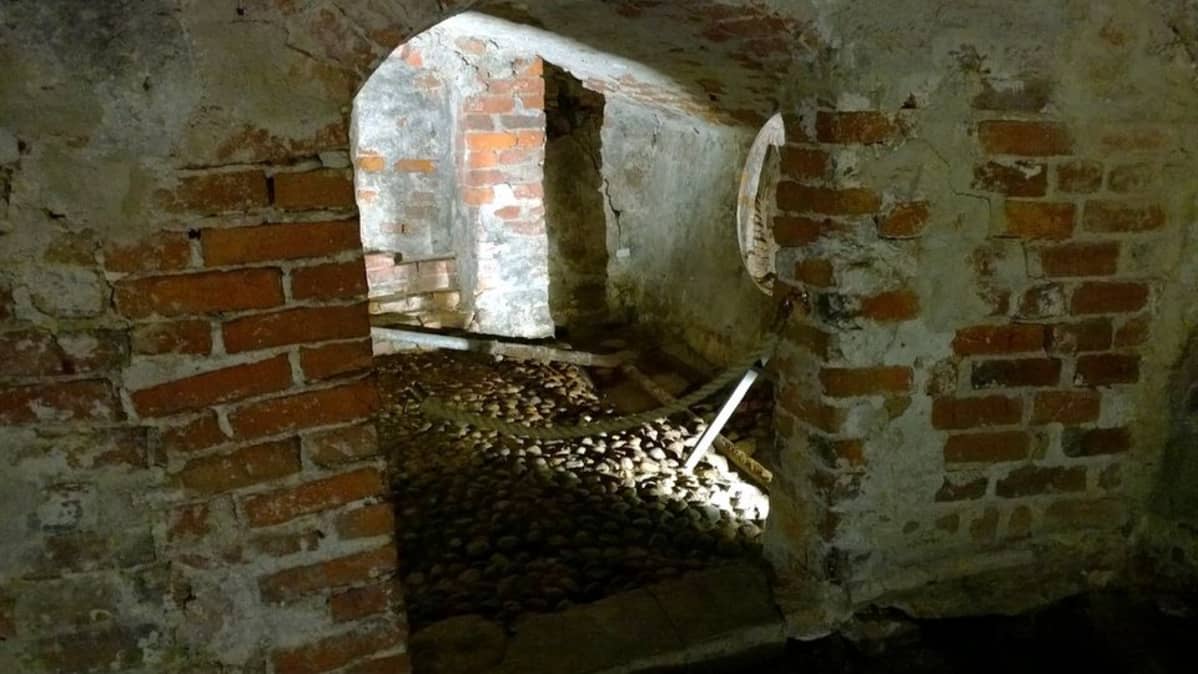 Aboa Vetus-museon vanhimmat kellarit ovat peräisin 1300-luvulta.