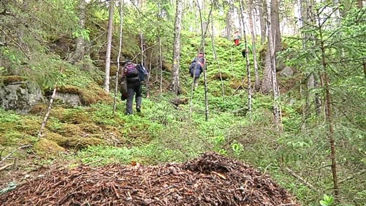 Kansallispuiston reitit käydään tarkkaan läpi.