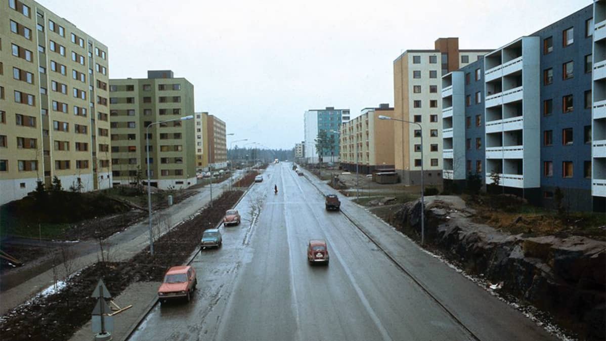 Harmaan sävyinen Hervanta.