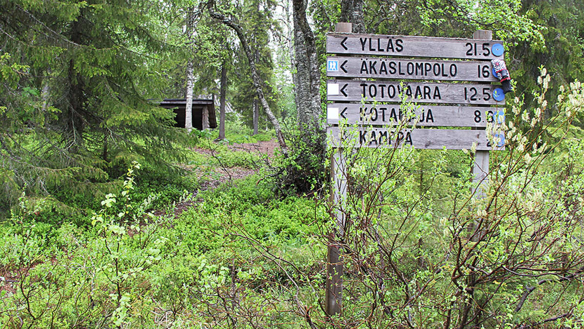 puinen viitta kyltti kansallispuisto Pallas-Yllästunturi