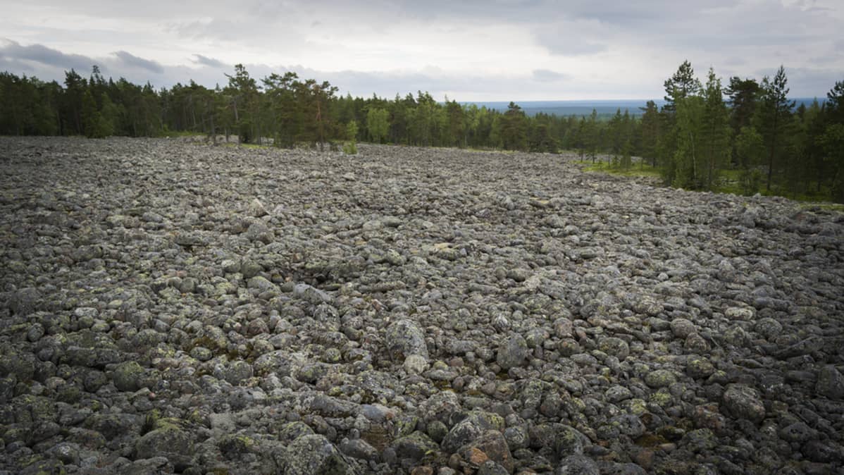Pyhävuoren muinaisranta Kristiinankaupungissa.