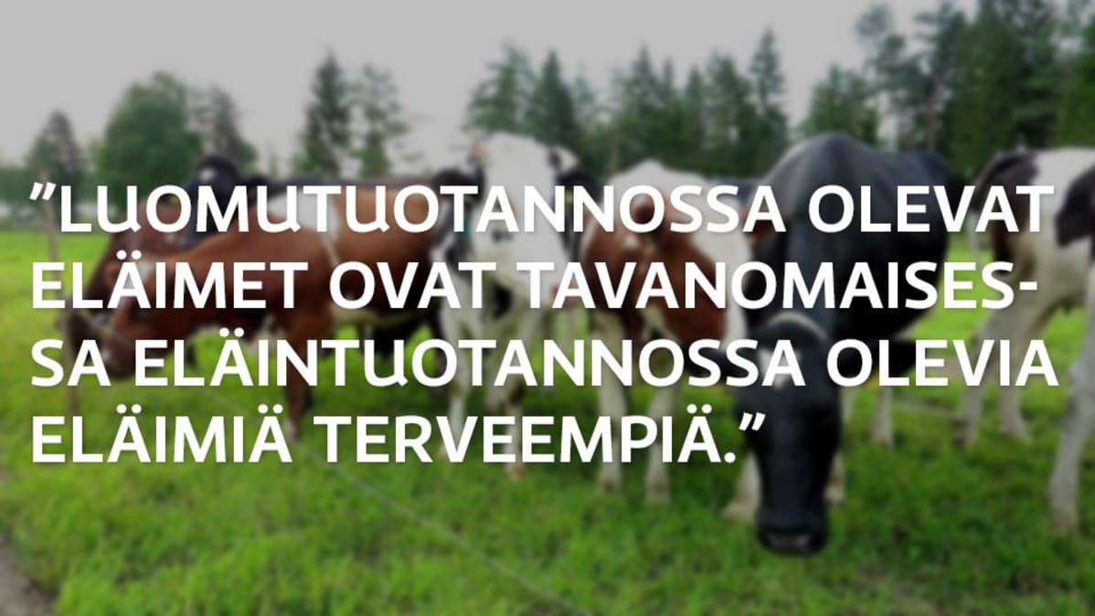 Grafiikka