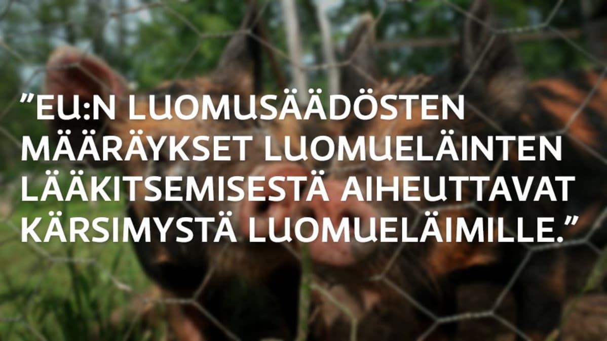 Grafiikka