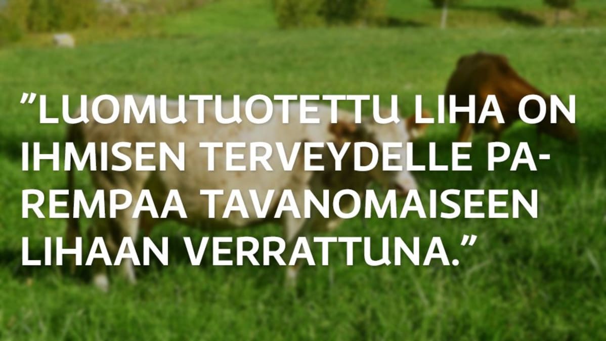 Grafiikka